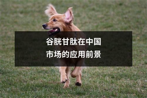 谷胱甘肽在中国市场的应用前景