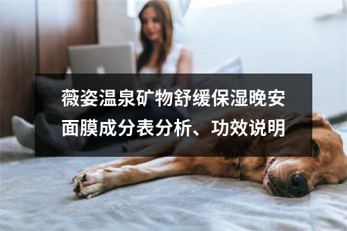薇姿温泉矿物舒缓保湿晚安面膜成分表分析、功效说明
