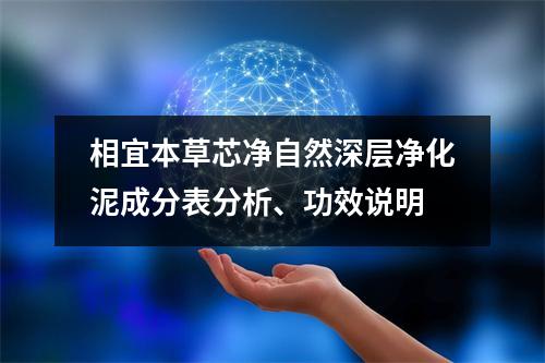 相宜本草芯净自然深层净化泥成分表分析、功效说明