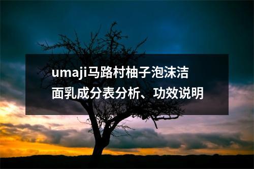 umaji马路村柚子泡沫洁面乳成分表分析、功效说明