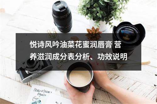 悦诗风吟油菜花蜜润唇膏 营养滋润成分表分析、功效说明