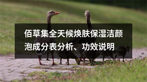 佰草集全天候焕肤保湿洁颜泡成分表分析、功效说明