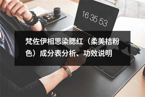 梵佐伊相思染腮红（柔美桔粉色）成分表分析、功效说明
