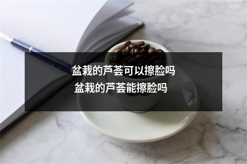 盆栽的芦荟可以擦脸吗 盆栽的芦荟能擦脸吗