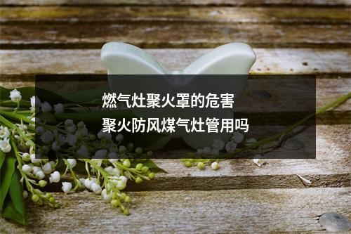 燃气灶聚火罩的危害 聚火防风煤气灶管用吗