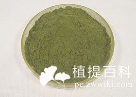紫锥菊提取物