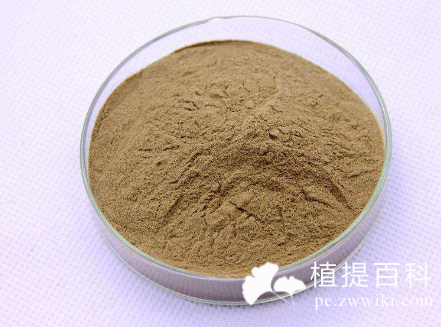 绿咖啡豆提取物
