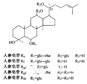人参提取物