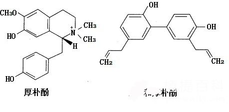 厚朴提取物