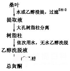 桑叶提取物 桑叶提取物