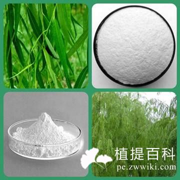 白柳皮