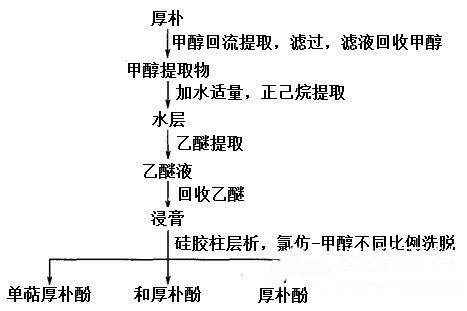 厚朴提取物