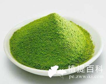 绿茶