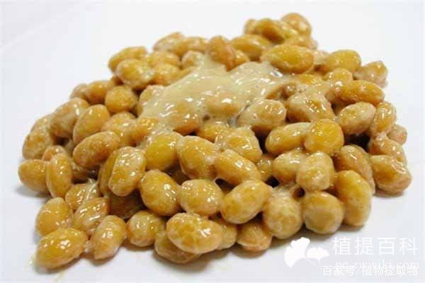纳豆激酶