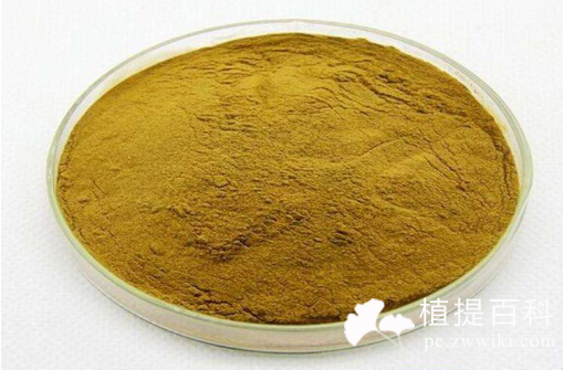 水飞蓟提取物