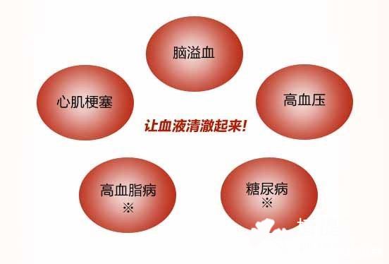纳豆激酶