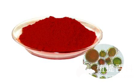 虾青素提取物 astaxanthin