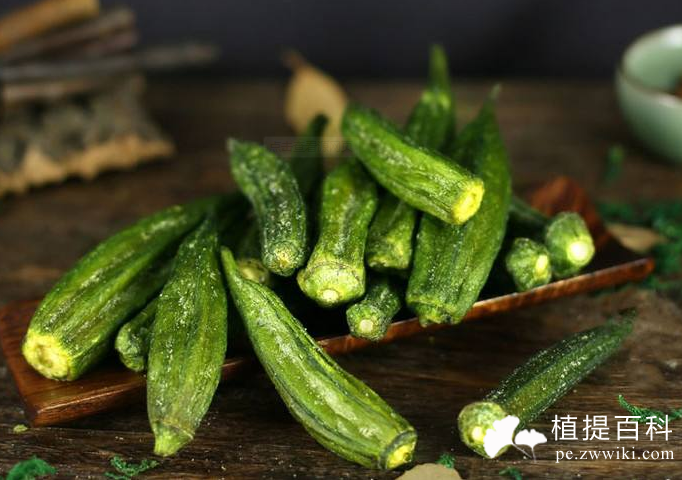 黄秋葵提取物