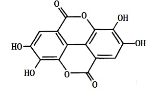 石榴提取物