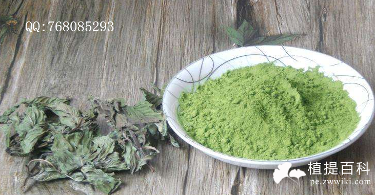 薄荷提取物