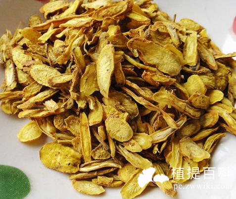 黄芩提取物