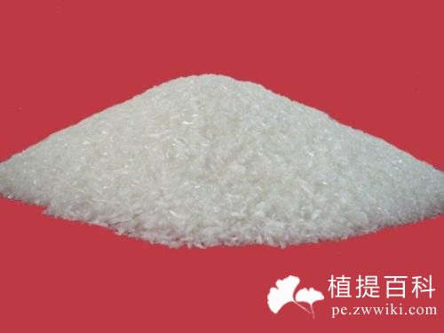 丹皮酚