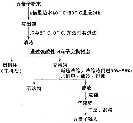 五倍子