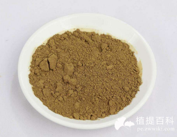 鼠尾草提取物