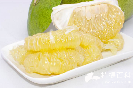 柚子提取物