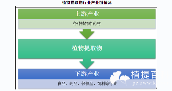 植物提取物最新市场动态