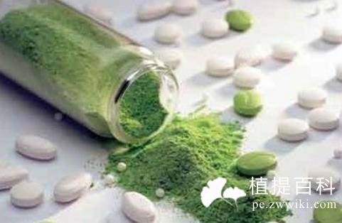 植物提取物最新市场动态
