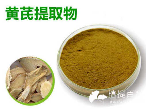 黄耆（Radix Astragali）