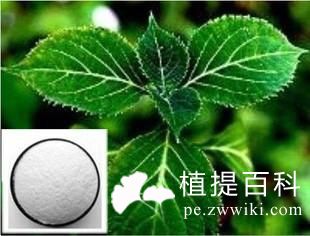 育亨宾提取物