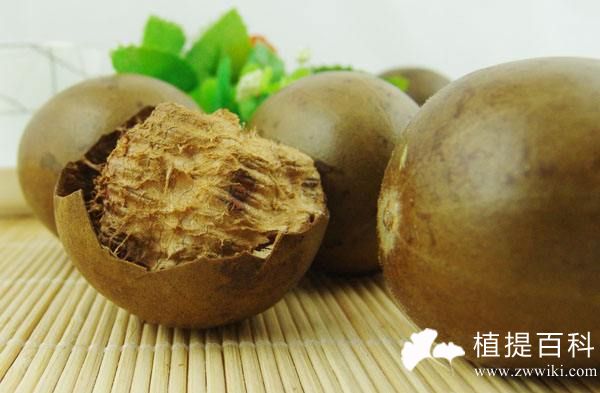 罗汉果