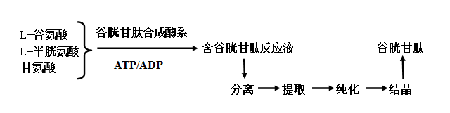 谷胱甘肽