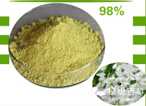 槲皮素提取物