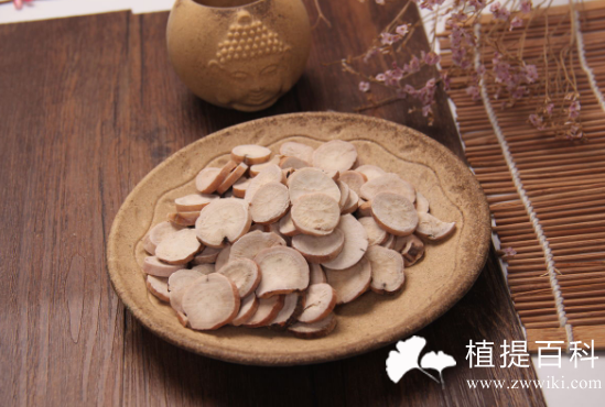 白芍提取物