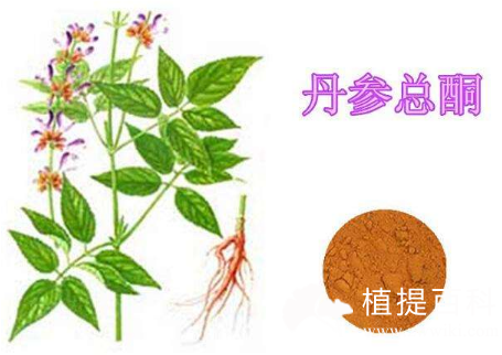 丹参总酮