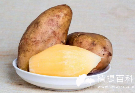 雪莲果提取物