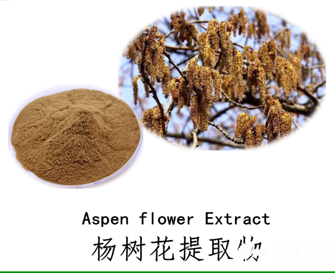 中药提取物的应用中药材提取物的作用