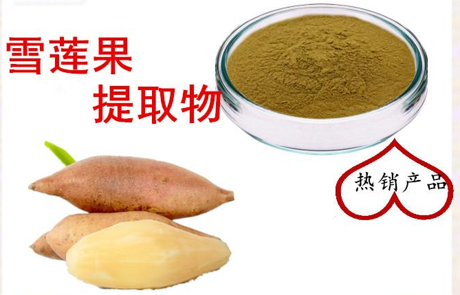 雪莲果提取物