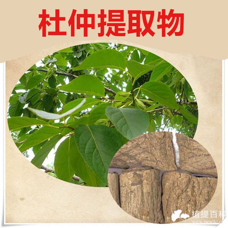 中药提取物的应用中药材提取物的作用