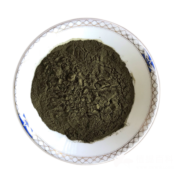 拟为绿球藻粉-nannochloropsis Marine phytoplankton