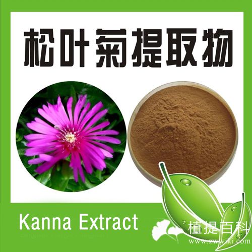 松叶菊提取物（Kanna Extract）
