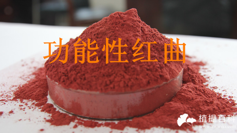 功能性红曲的功效与作用