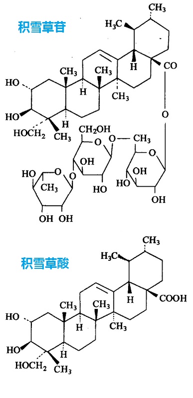 积雪草提取物