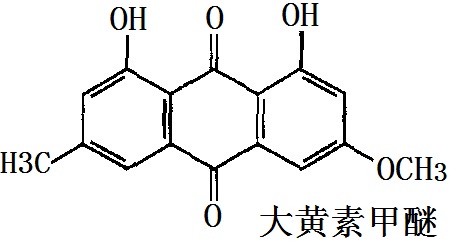 大黄素甲醚