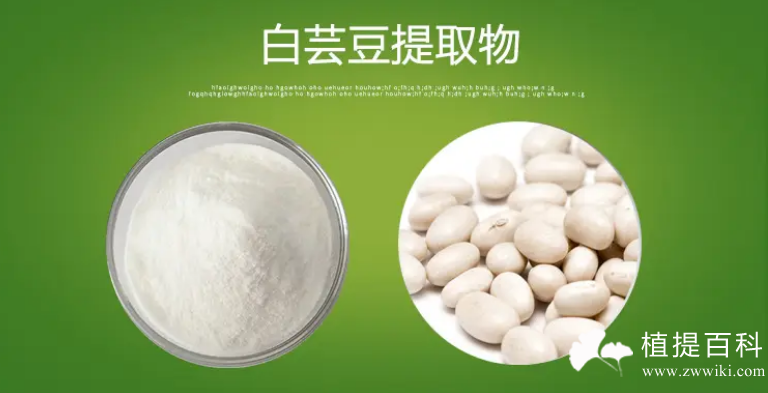 白芸豆提取物