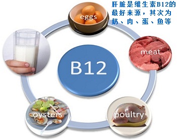 维生素 B12