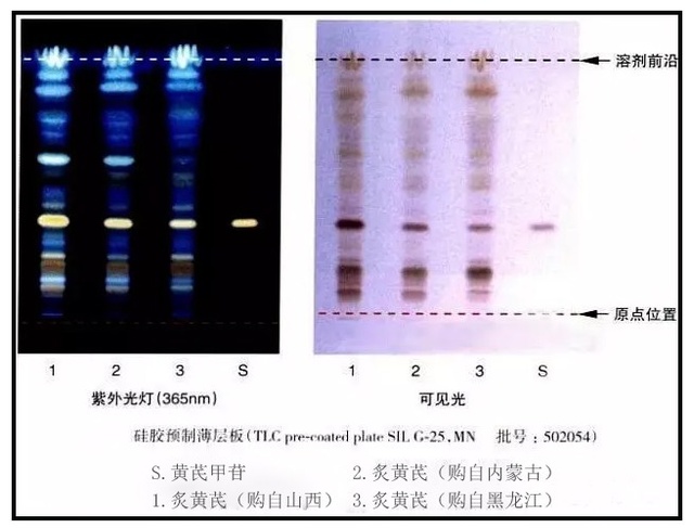 中药提取物薄层鉴别方法分享 TLC